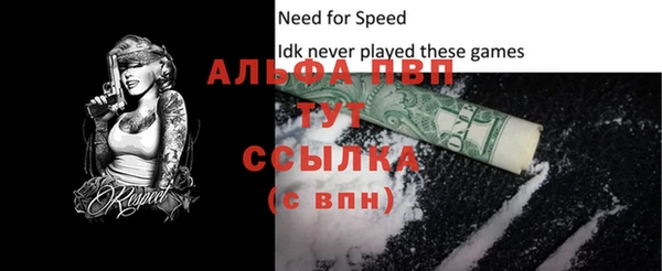 винт Елизово