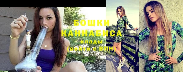 винт Елизово