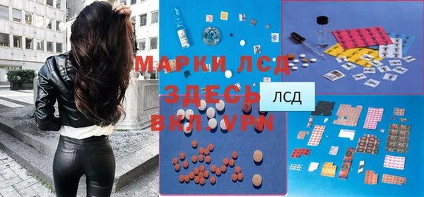 молекула духа Елабуга