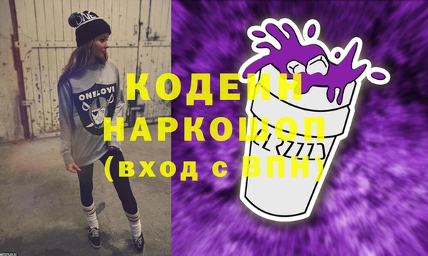 молекула духа Елабуга