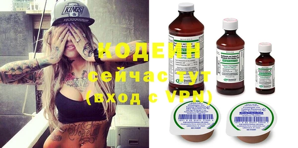 молекула духа Елабуга