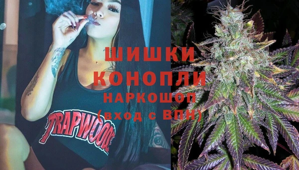 молекула духа Елабуга