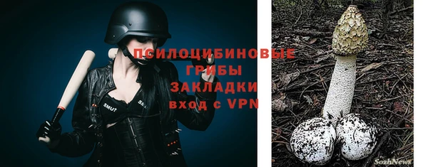 молекула духа Елабуга