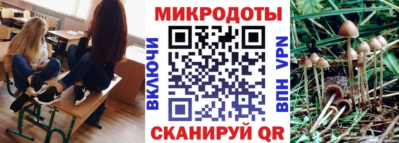 Купить закладки  Болотное  Псилоцибиновые грибы мухоморы 